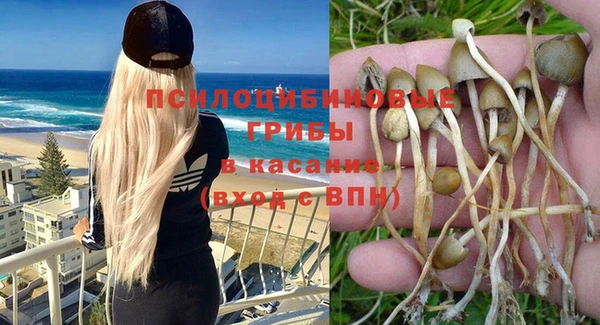 гидропоника Верхнеуральск