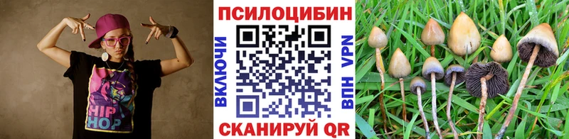 Галлюциногенные грибы Cubensis  Первомайск 